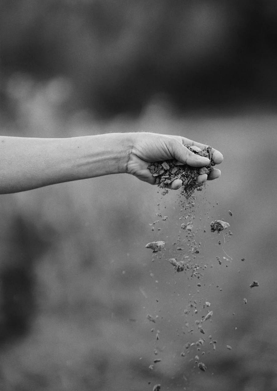 Une main laisse retomber de la terre et de petits cailloux